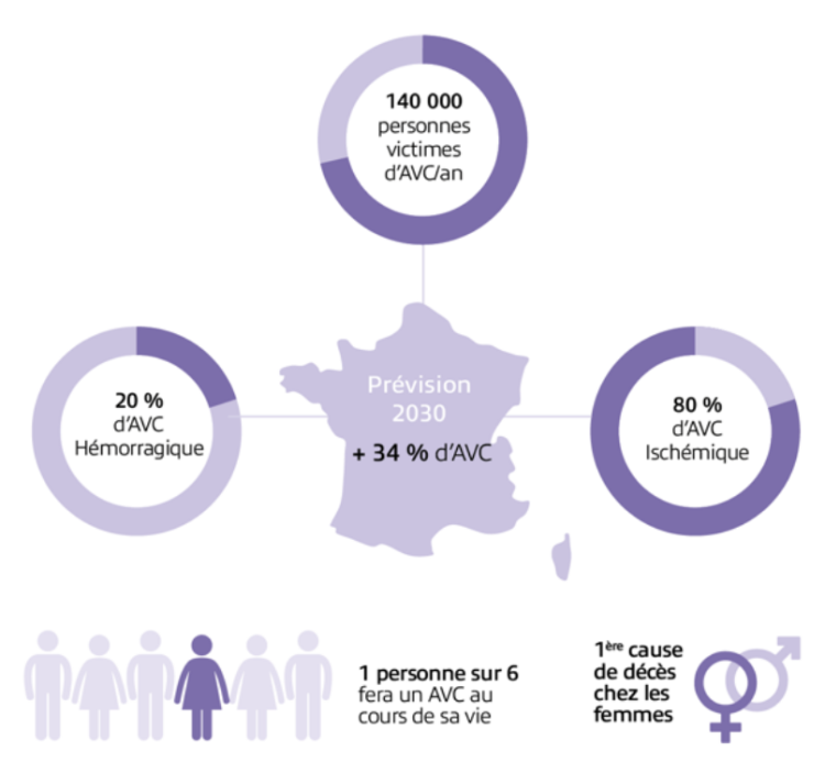 Graphique : 140 000 personnes victimes d'AVC par an/20% des AVC sont hémoragiques et 80% des AVC sont ichémiques/1 personne sur 6 fera un AVC au cours de sa vie/1ère cause de mortalité chez les femmes/+34% d'AVC en France en 2030