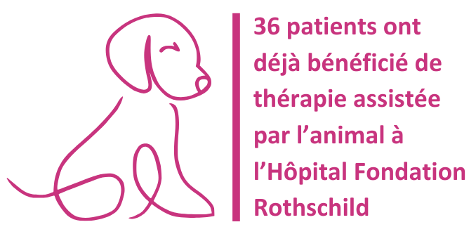 Image : 36 patients ont déjà bénéficié de thérapie assistée par l'animal à l'Hôpital Fondation Rothschild